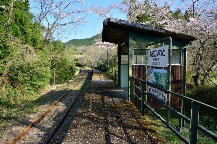 Takachiho Railway 폐선 부지 3