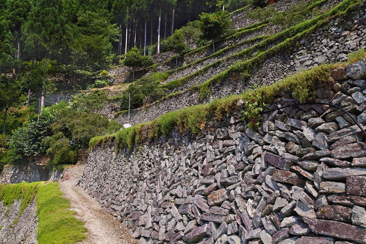 Takakai no Ishizumi (Stone Walls of Takakai)