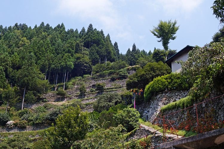Takakai no Ishizumi (Stone Walls of Takakai) 3