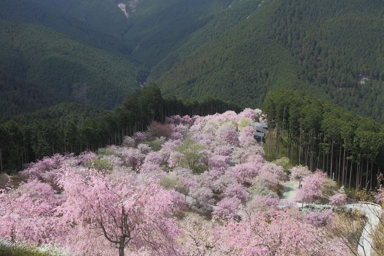 Takami no Sato