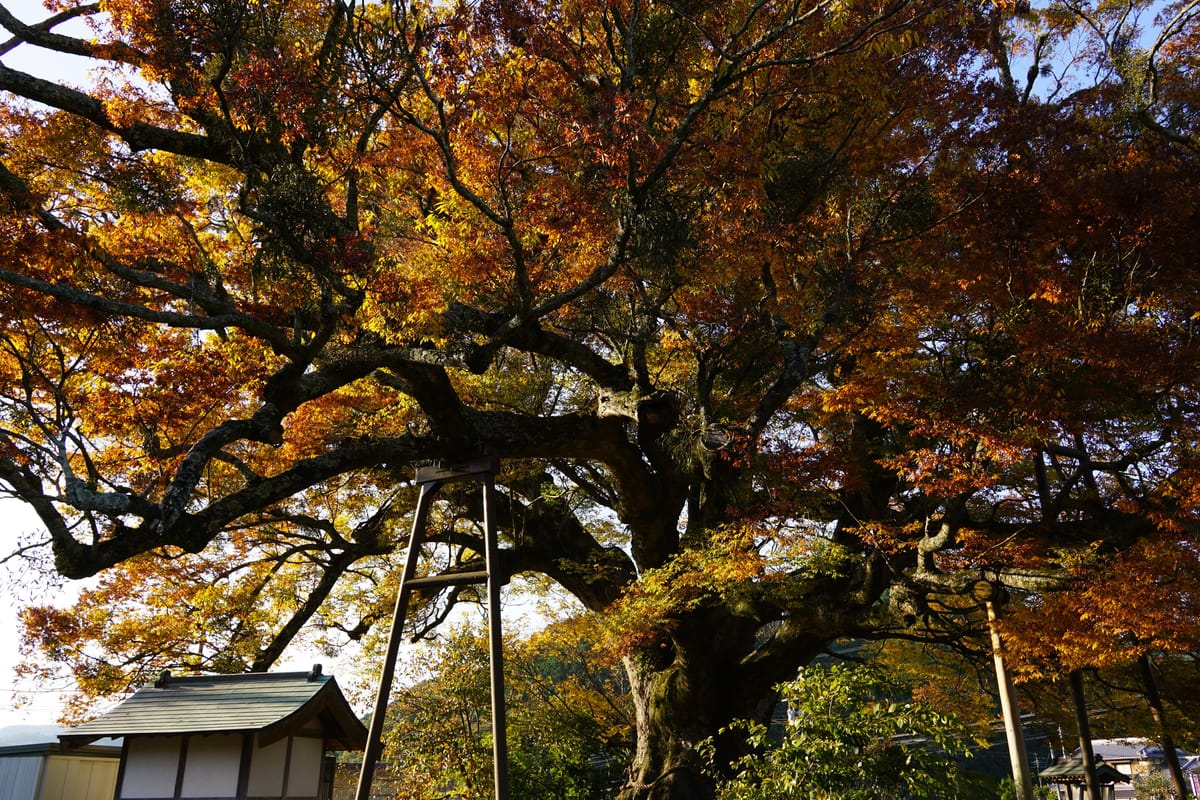 Takamori Suisui Tunnel Park