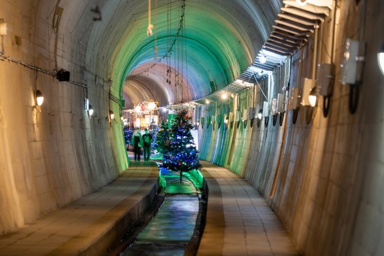Tamanari Suisui Tunnel Park