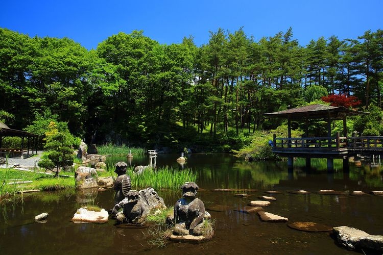 たかむろ水光園 2