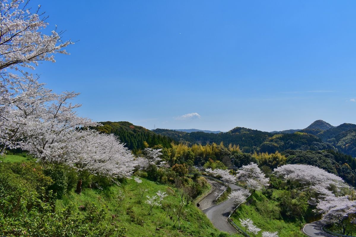 Takaoyama Park (Iroha Island)