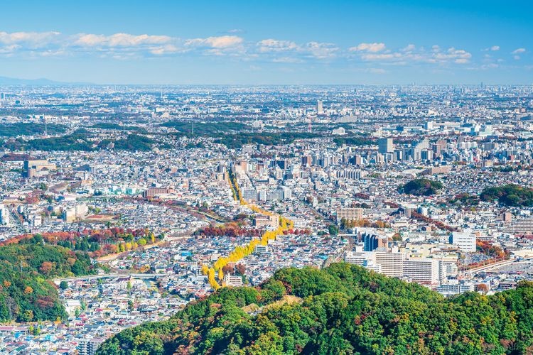 ภูเขาทาคาโอะ (Mount Takao)