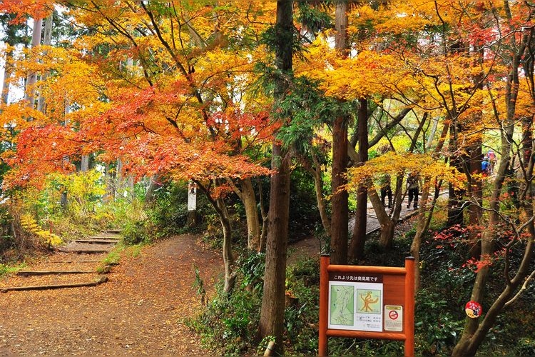 ภูเขาทาคาโอะ (Mount Takao) 2