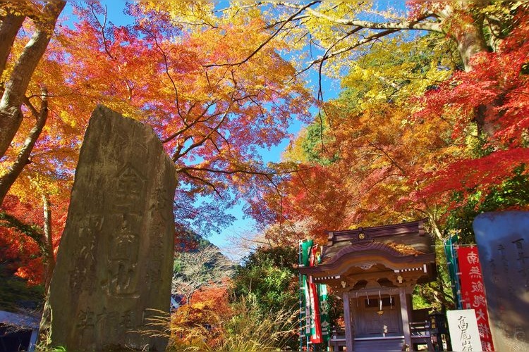 ภูเขาทาคาโอะ (Mount Takao) 4