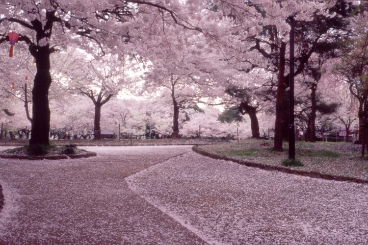 Takaoka Kojo Koen (Takaoka Castle Ruins)