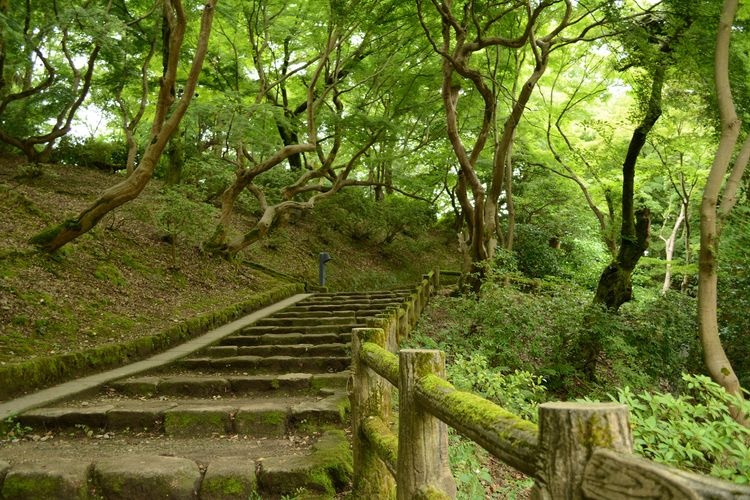 Takaoka Kojo Koen (Takaoka Castle Ruins) 2