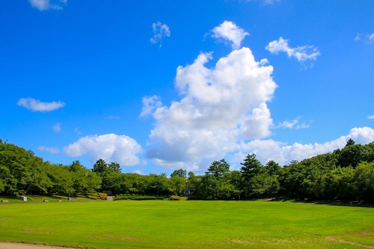 Takaoka Kojo Koen (Takaoka Castle Ruins) 3