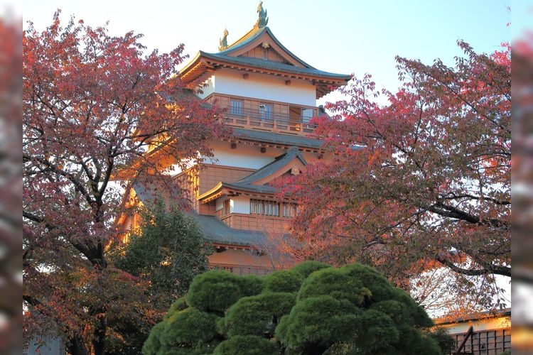 ปราสาททากาชิมะ (Takashima Castle) 6