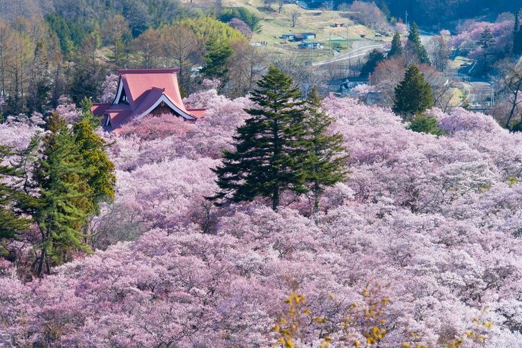 Parque de las Ruinas del Castillo de Takatō