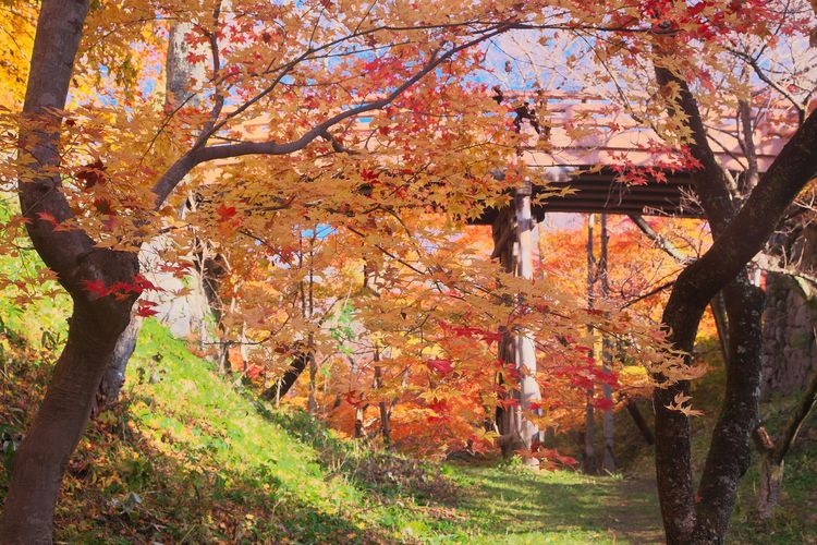 Parque de las Ruinas del Castillo de Takatō 3