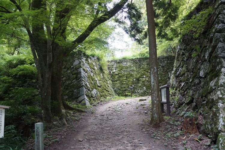 Takatori Castle 2
