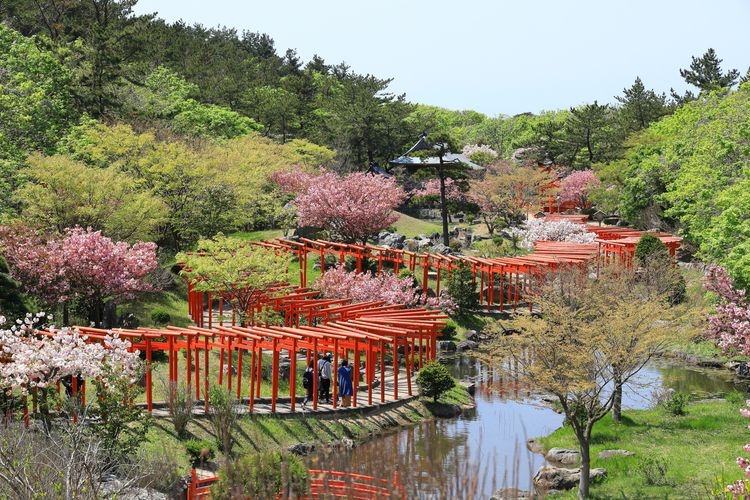 高山稻荷神社 2
