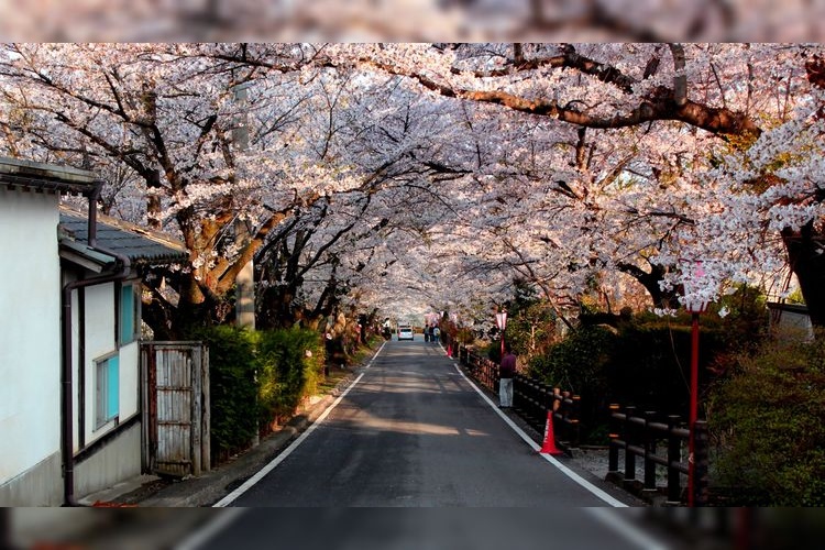 Dake Onsen