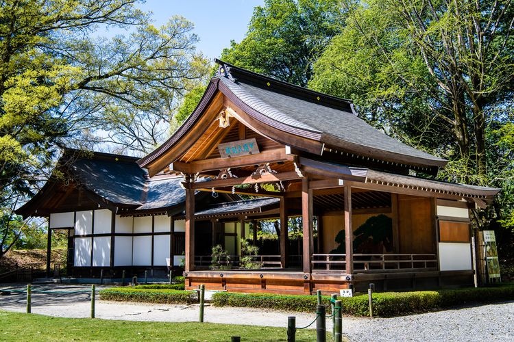 武田神社(躑躅ヶ崎馆) 4