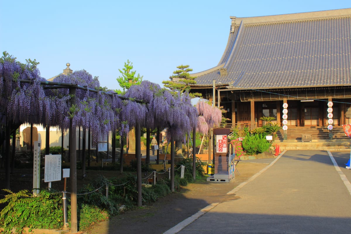 竹鼻別院 (Takehana Betsuin)