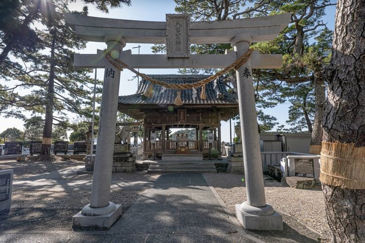 Takeshima 2