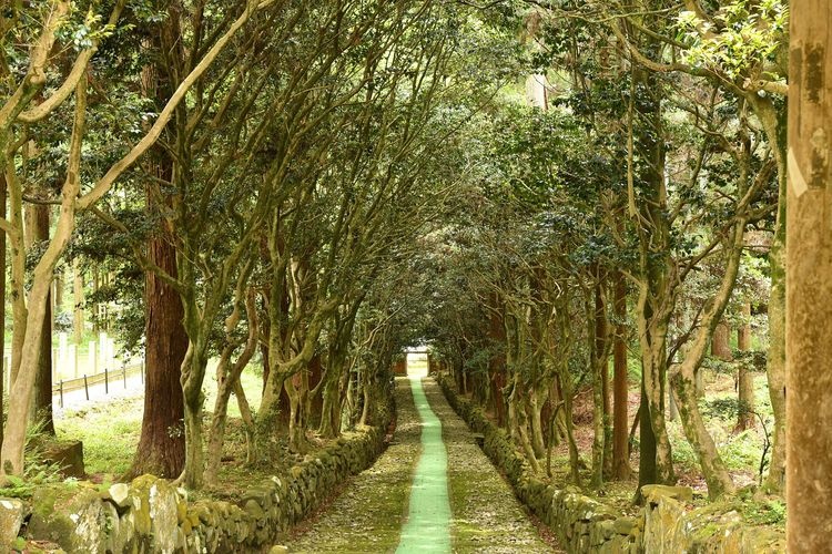 Takidanji Temple 2