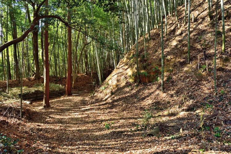 滝山城跡