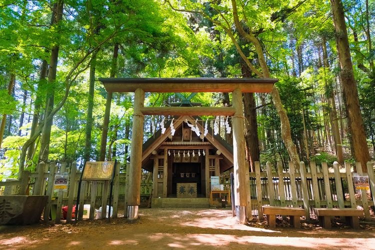 호다산 신사 (Hodosan Shrine)
