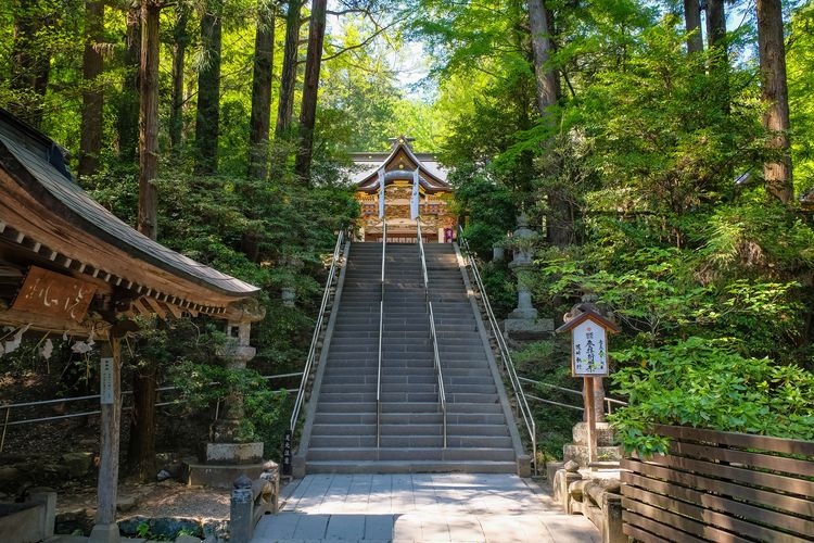 호다산 신사 (Hodosan Shrine) 3