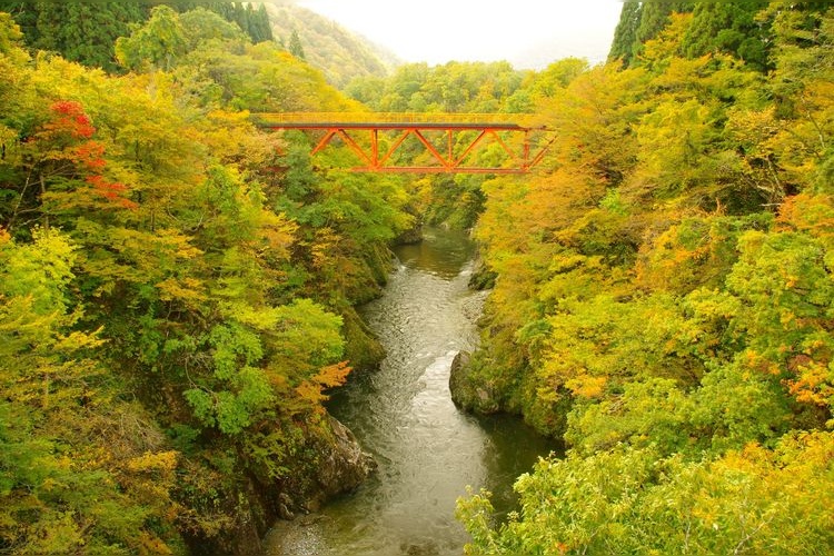 Thung lũng Tamagawa