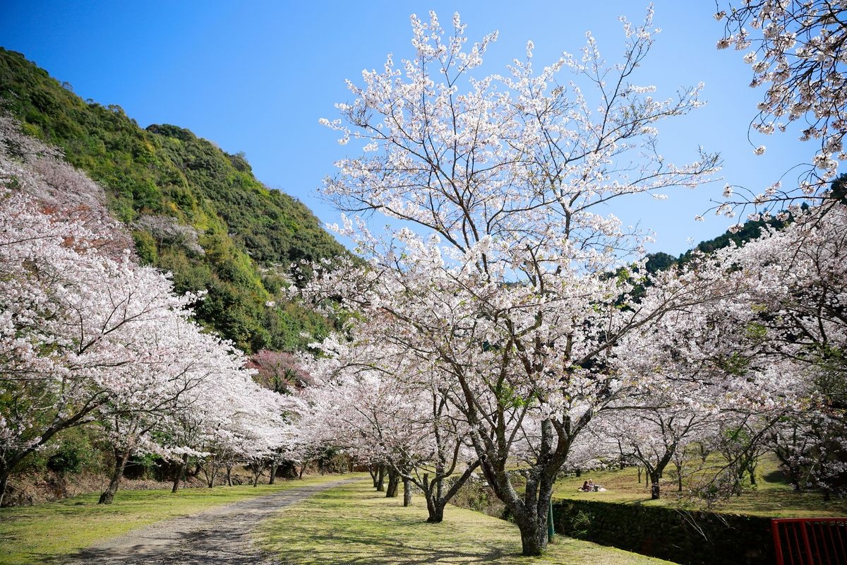 Tamagusuku Udun