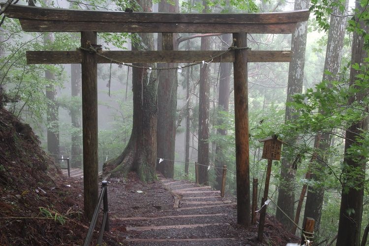 Santuario Tamaki 2