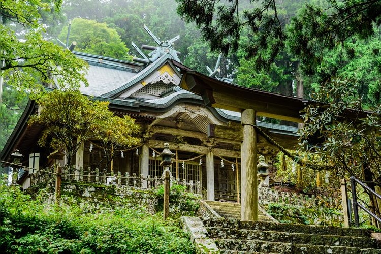 Santuario Tamaki 6
