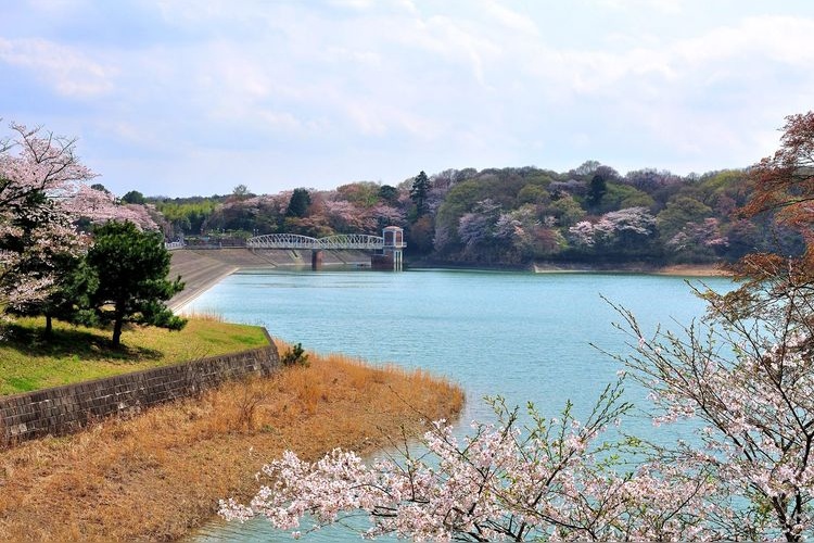 Tamako Lake (Murayama Reservoir)
