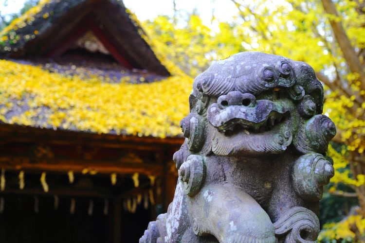 Tamashiki Shrine 2