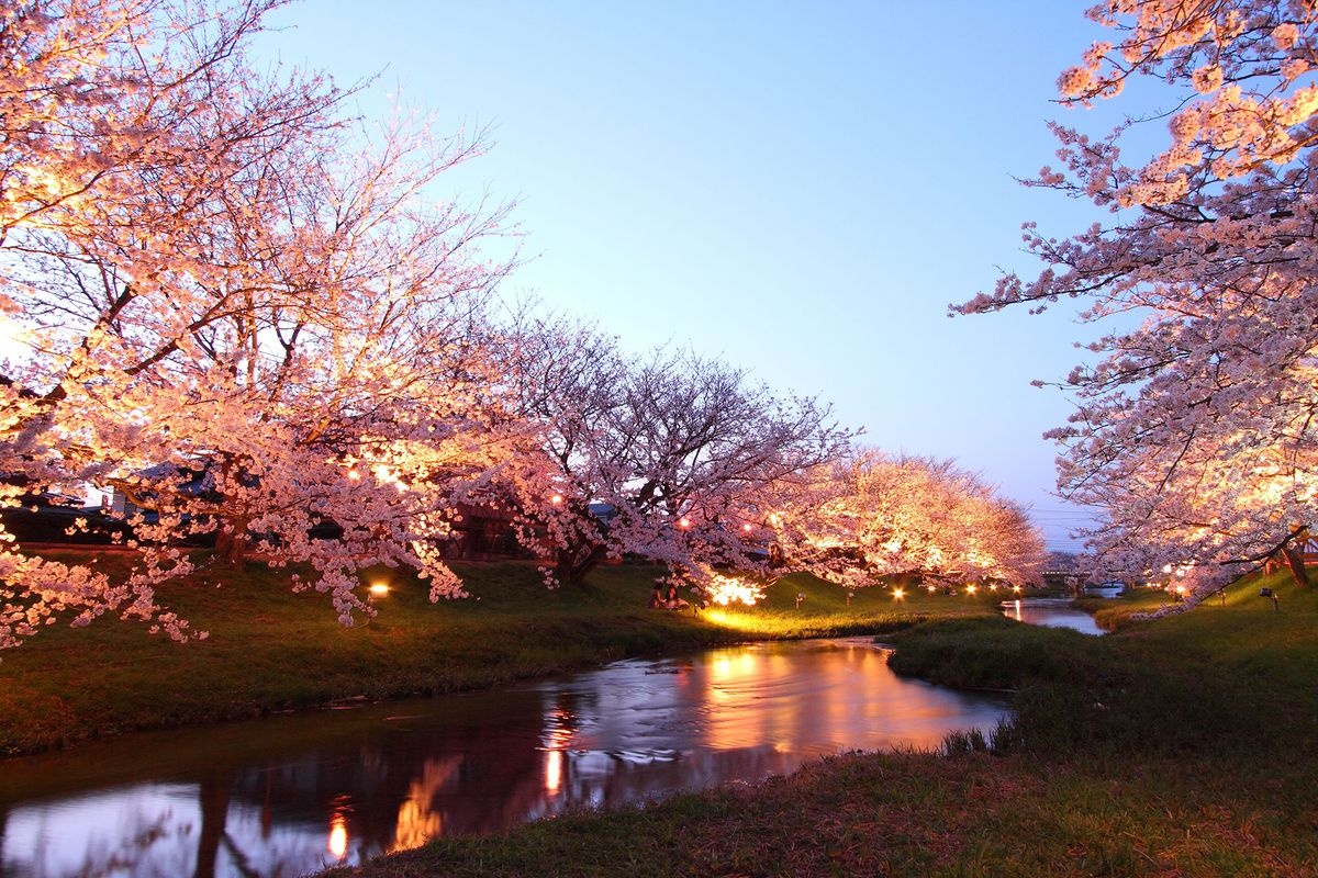 ตลิ่งแม่น้ำทามาซุ (Tamatsuyugawa Tei)