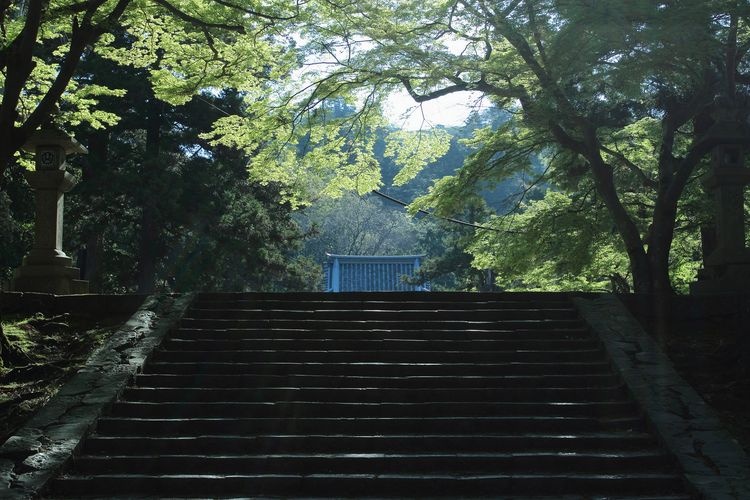 手向山神社