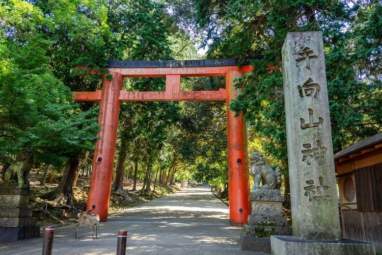 手向山神社 3