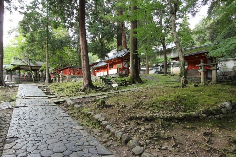 手向山神社 4