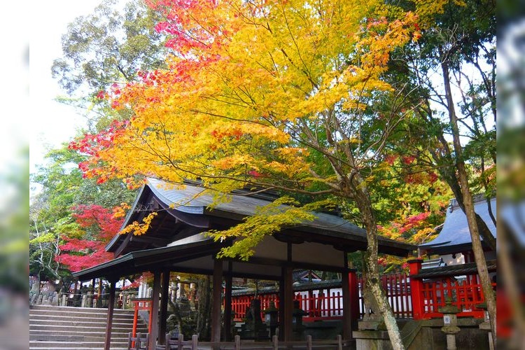 手向山神社 6