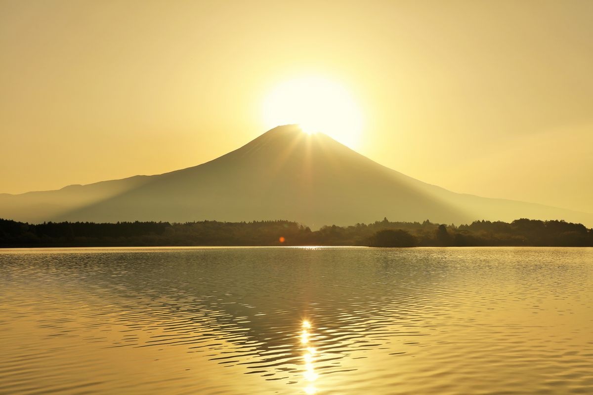 Lake Tanuki