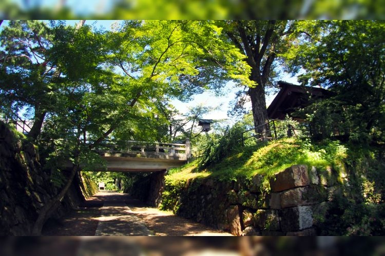 丹波亀山城跡