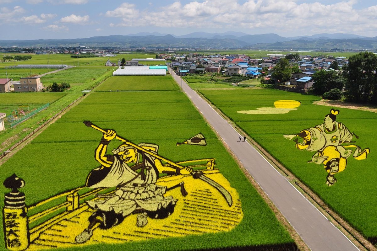 Tanbo Art (Arte de los Arrozales)