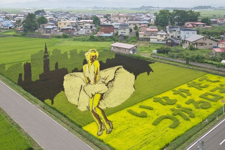 Tanbo Art (Arte de los Arrozales)