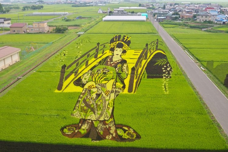 Tanbo Art (Arte de los Arrozales) 2