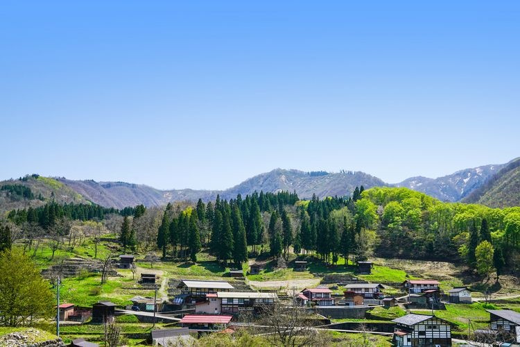 Desa Tanezura 2