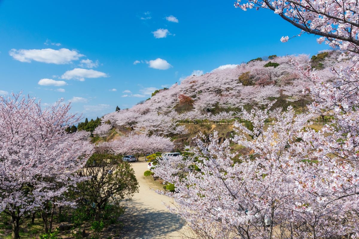 สวนสาธารณะเนมัตสึยามะโคเอ็น นิชิเอ็นจิ (Nematsuyama Koen Nishi-enchi)