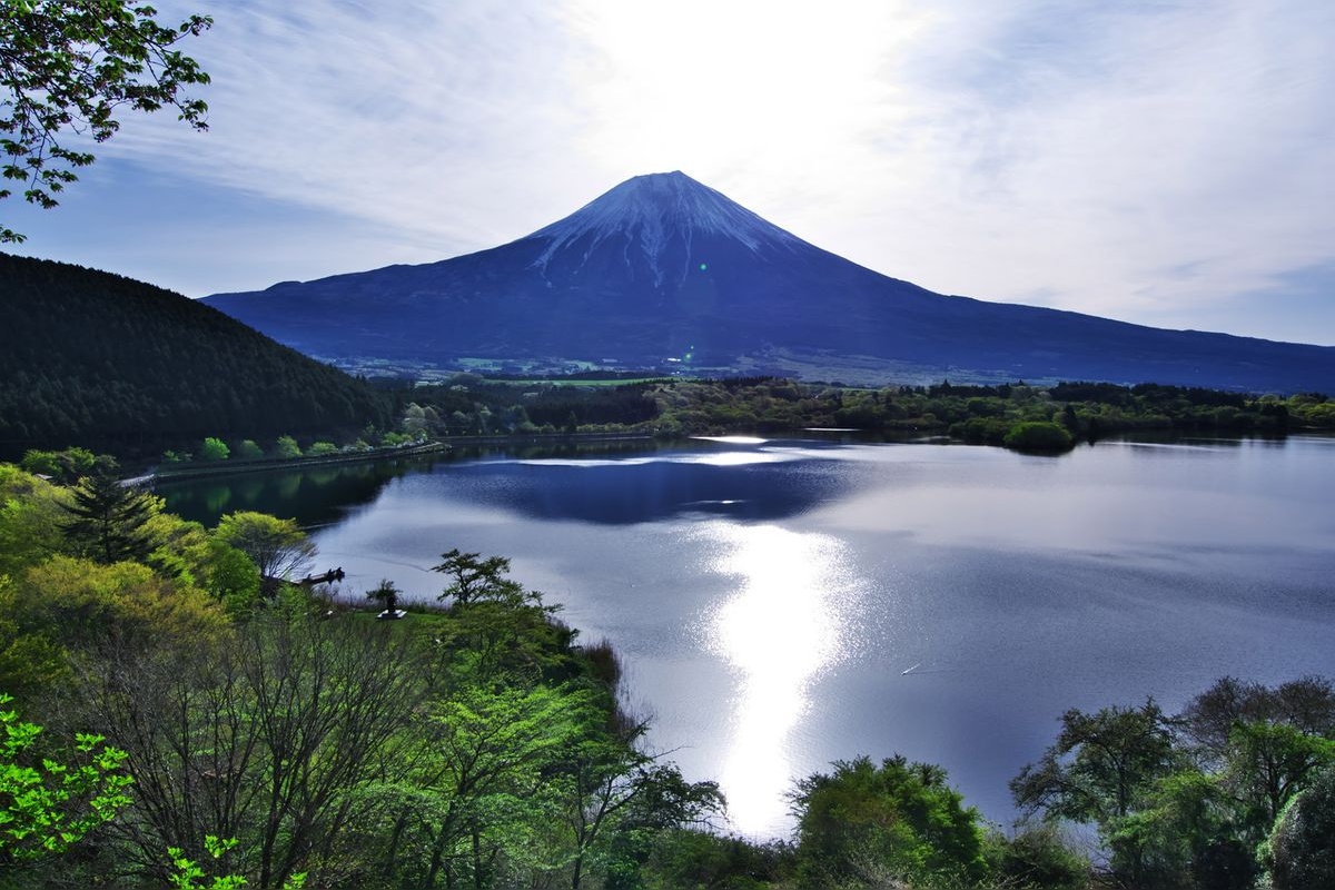 たぬき展望台(富士山)