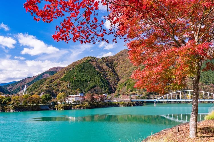 Tanzawa-ko (Tanzawa Lake)