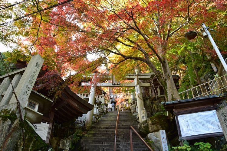 Tarobō-gū (Aga Jinja) 3