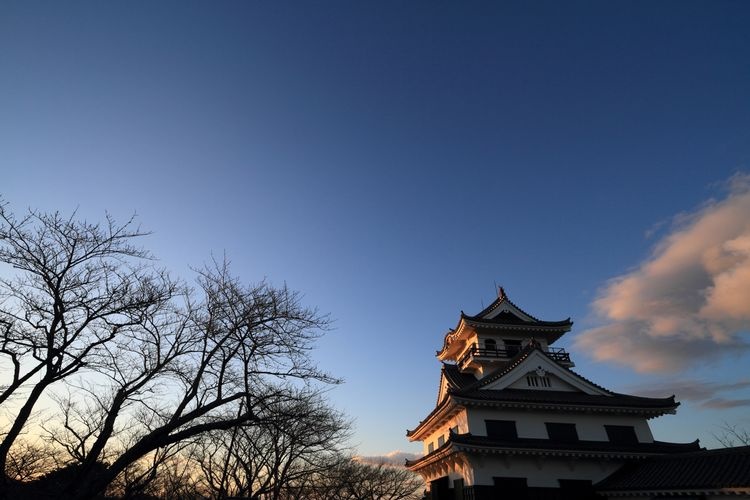 Tateyama Castle (Shiroyama Park) 2