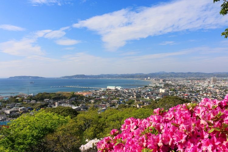 Tateyama Castle (Shiroyama Park) 3